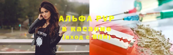 СК Алексин