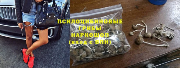 СК Алексин